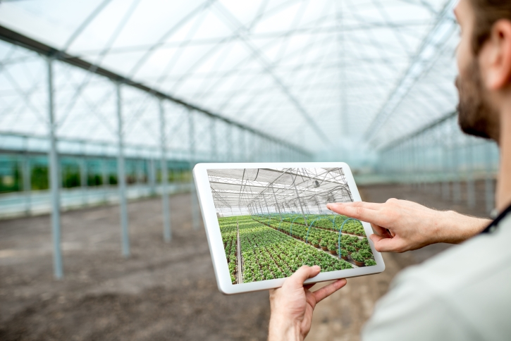 Homem olhando para tablet no agronegócio